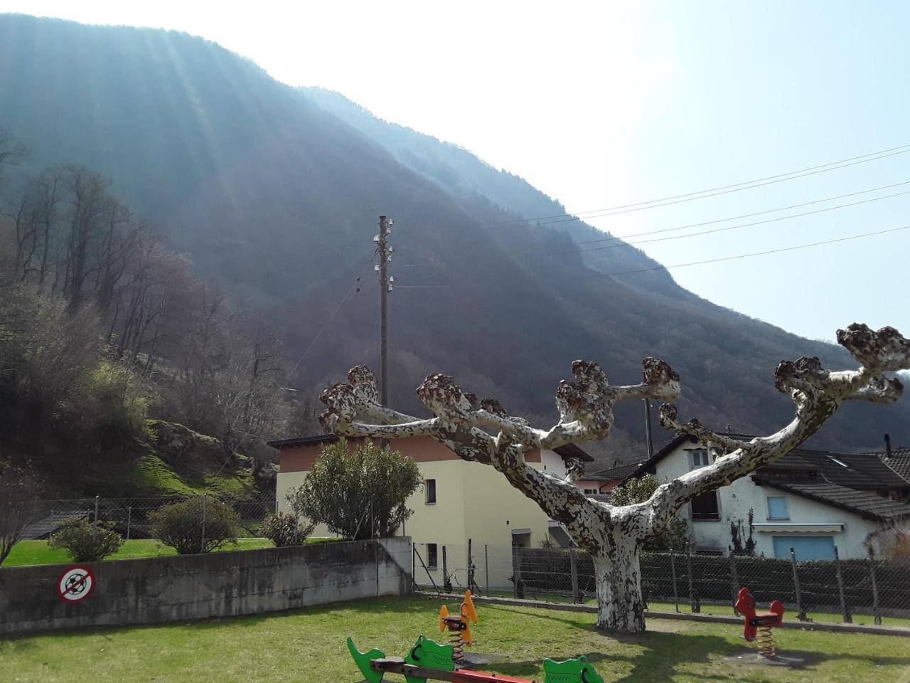 Holidays Homes Il Folletto Quartino Kültér fotó